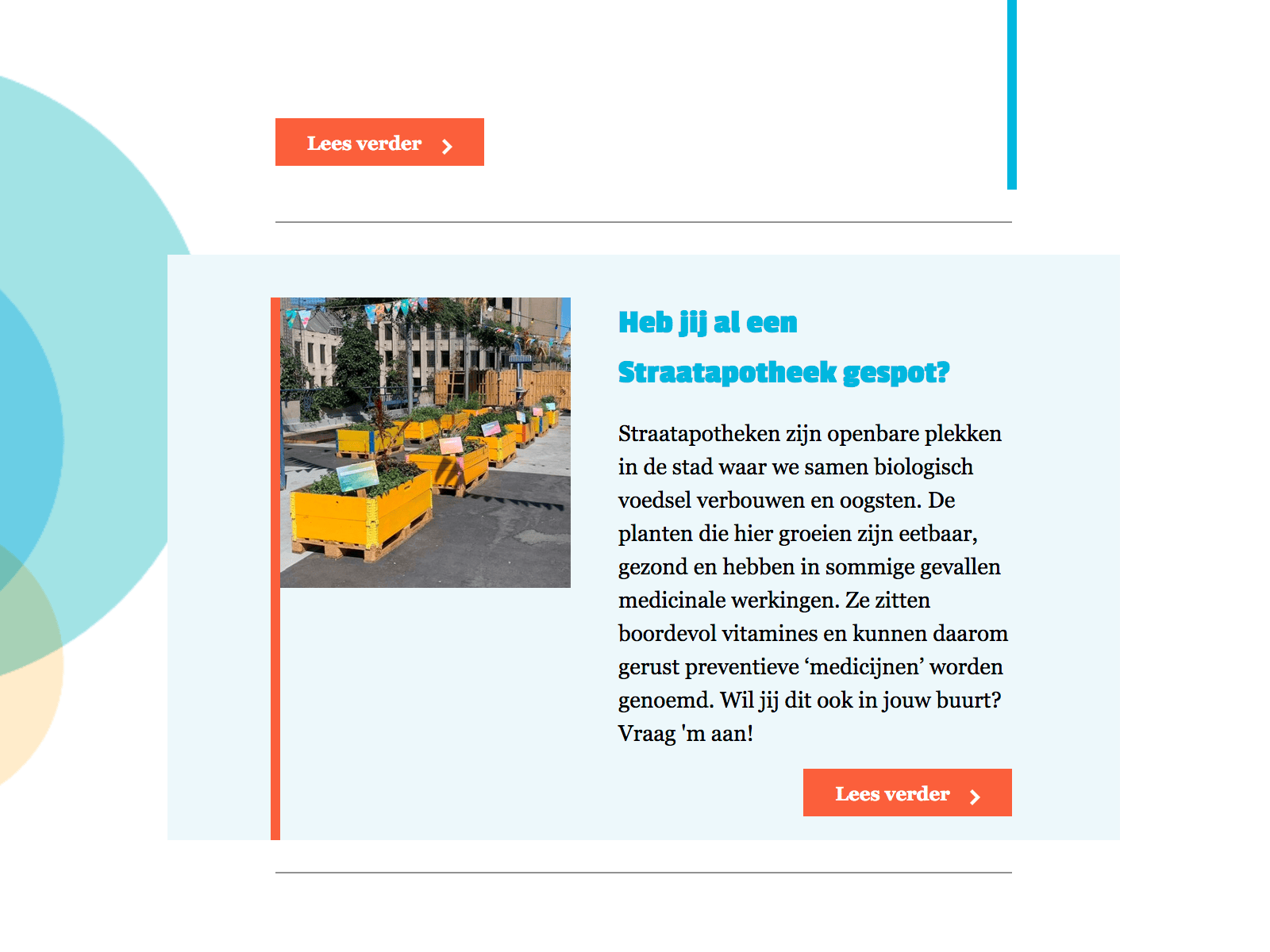 Nieuwsbrief voorbeeld 12